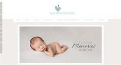 Desktop Screenshot of blueroosterstudio.com